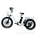 XY-Trio Deluxe electric cargo tricycle for adults motorized
